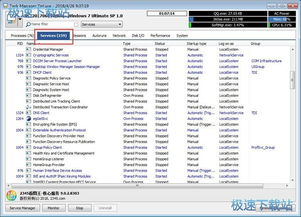 如何停止Task Manager Deluxe中的軟件服務(wù)進程